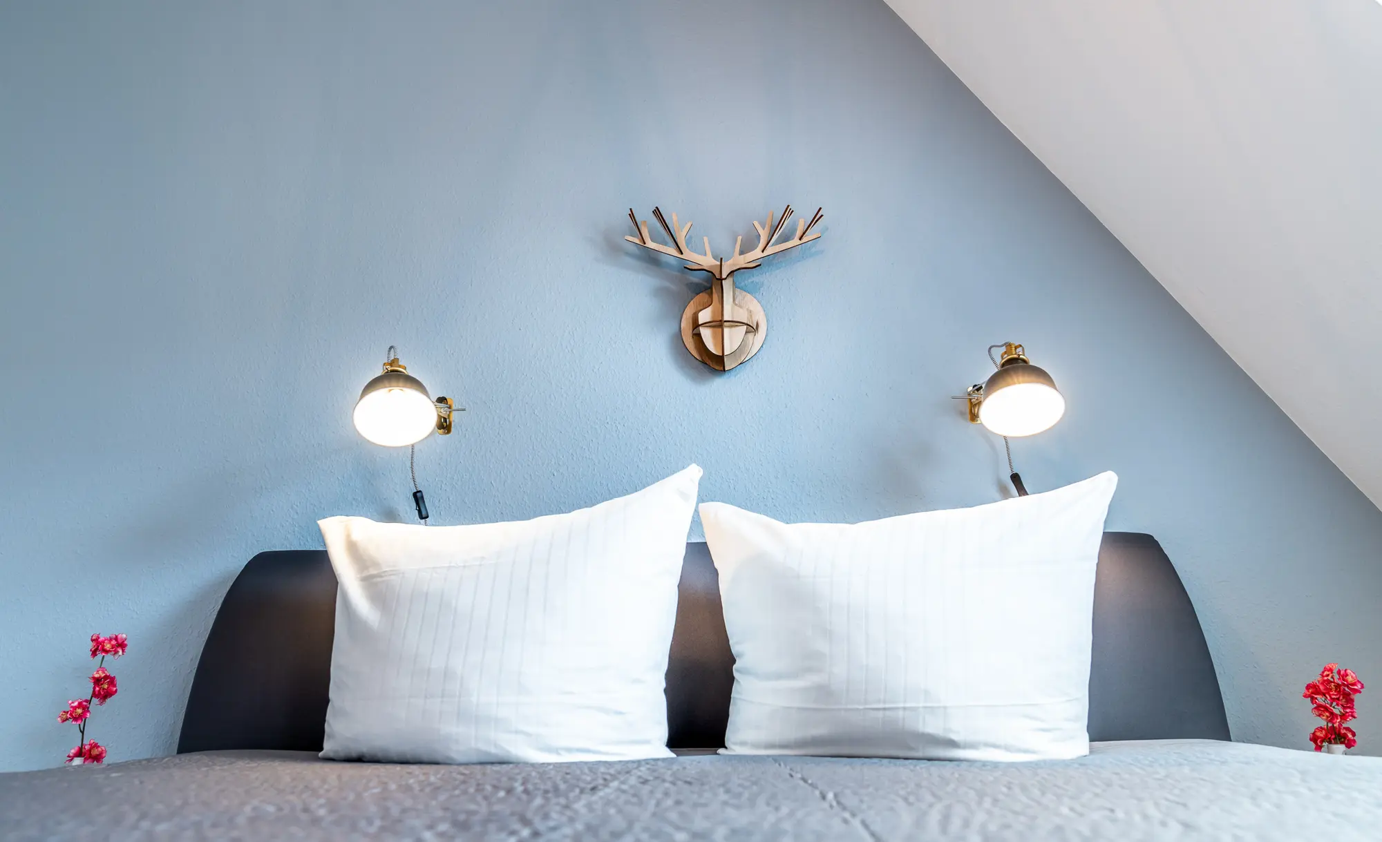 Bild aus unseren Appartements